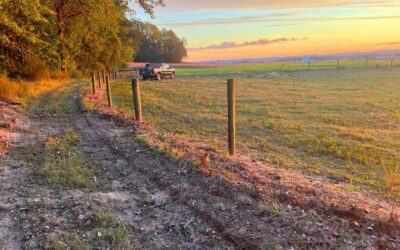 Welcome to L&S Farms (Now Online)!
